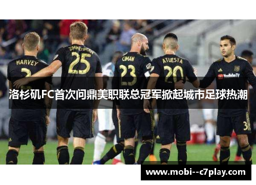 洛杉矶FC首次问鼎美职联总冠军掀起城市足球热潮 洛杉矶FC首次问鼎美职联总冠军掀起城市足球热潮